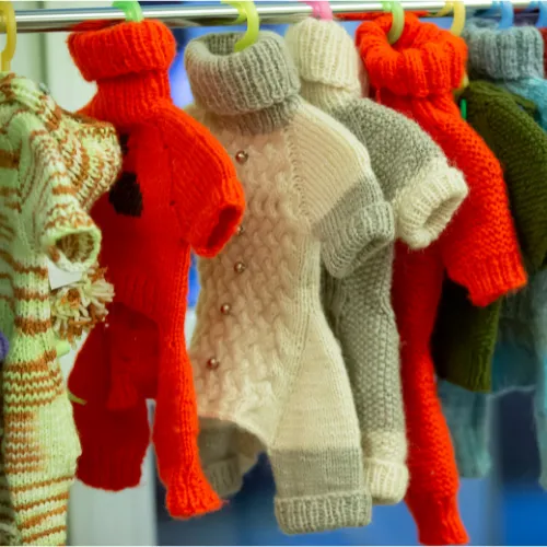 collection-image
