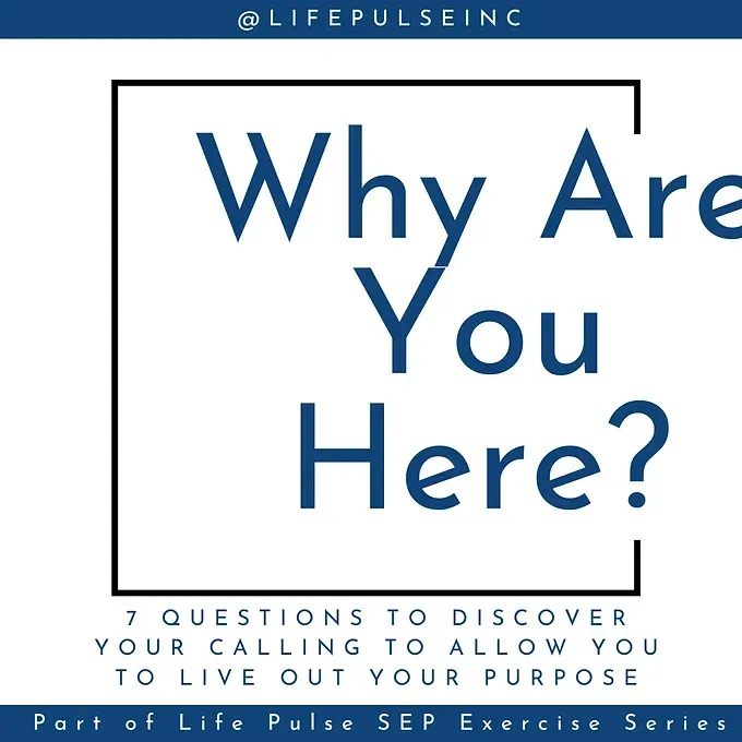 Why Are You Here - LP Purpose