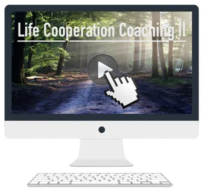 collection-image