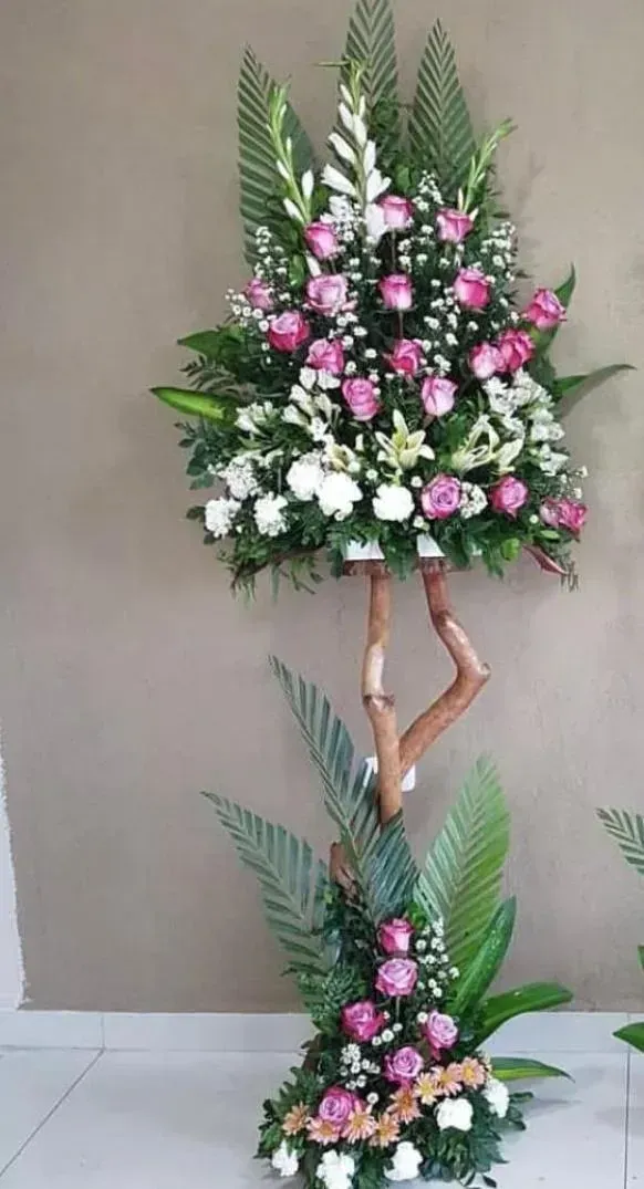 collection-image