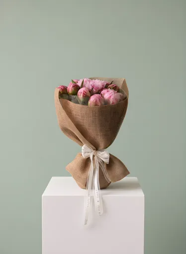 Pink Peony Dream