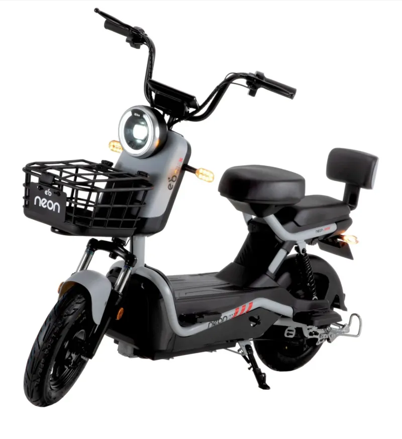 Bici electrica Pialli Rayo 800W con 60 km de autonomía