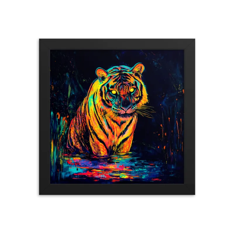 collection-image