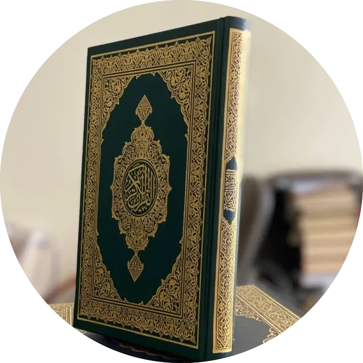 collection-image