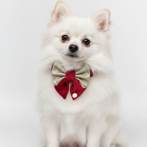 ecommerce.upsell.product_image_alt