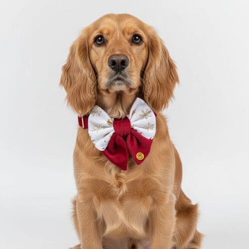 ecommerce.upsell.product_image_alt