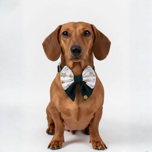 ecommerce.upsell.product_image_alt