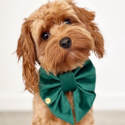 ecommerce.upsell.product_image_alt