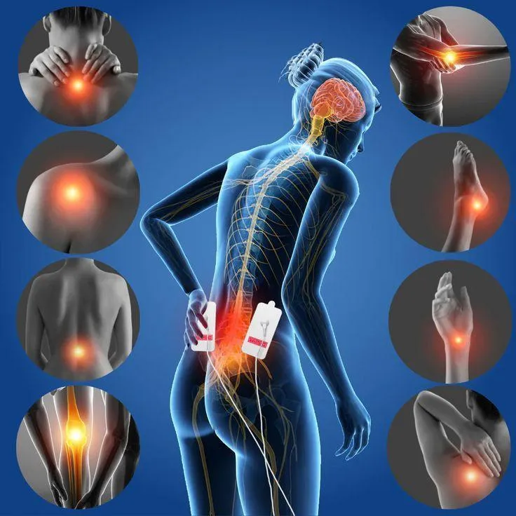 Neuroscience | Pain Management