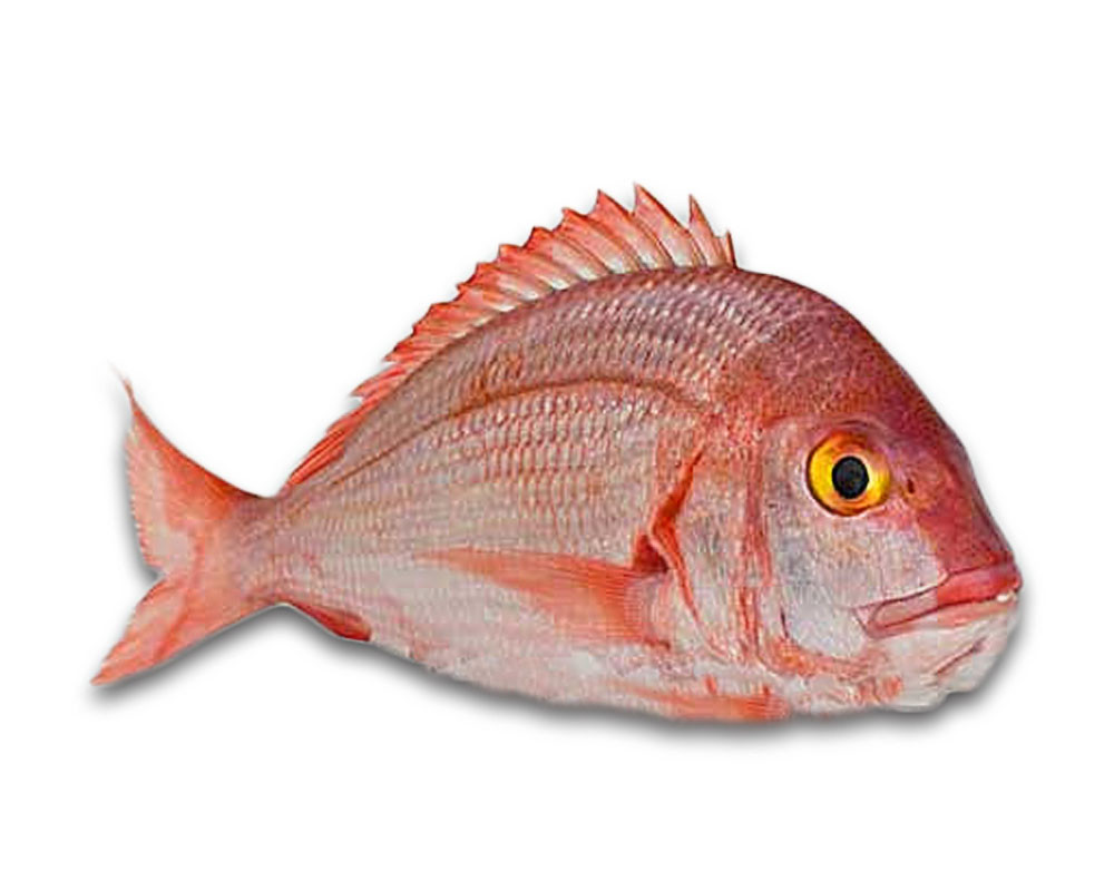 ecommerce.upsell.product_image_alt