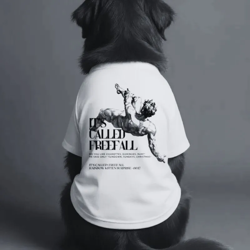 collection-image