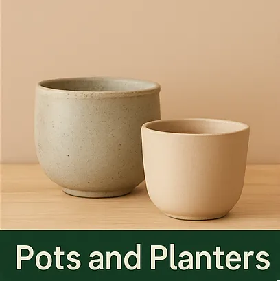 collection-image