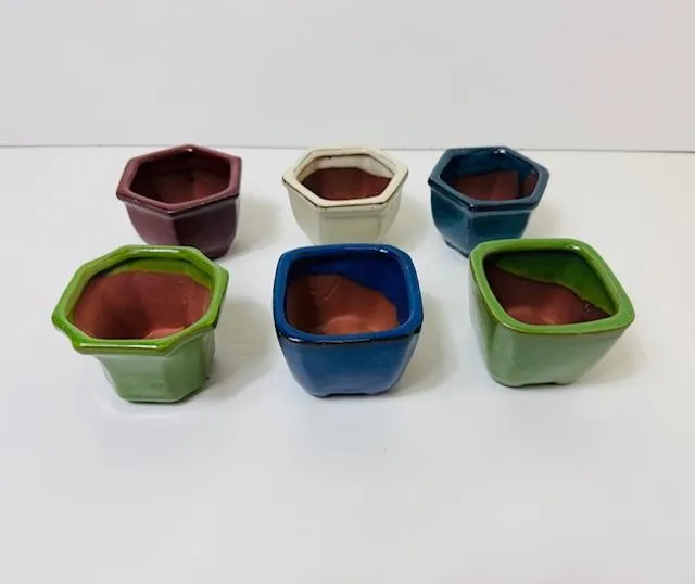 collection-image