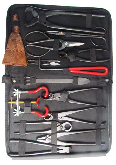 collection-image