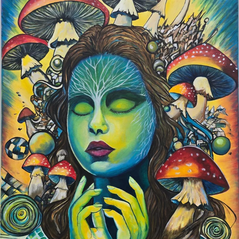 collection-image