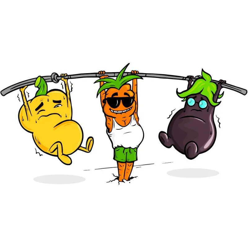collection-image