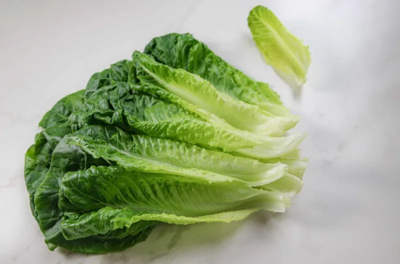 Lettuces
