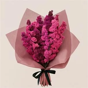 collection-image