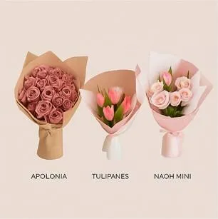 collection-image