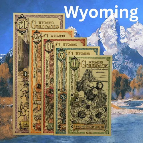 collection-image