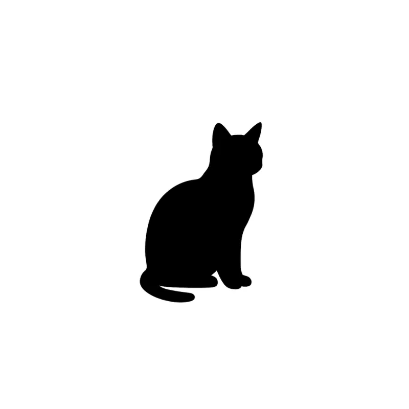 collection-image