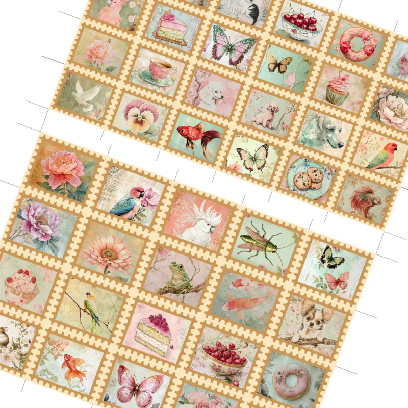 collection-image