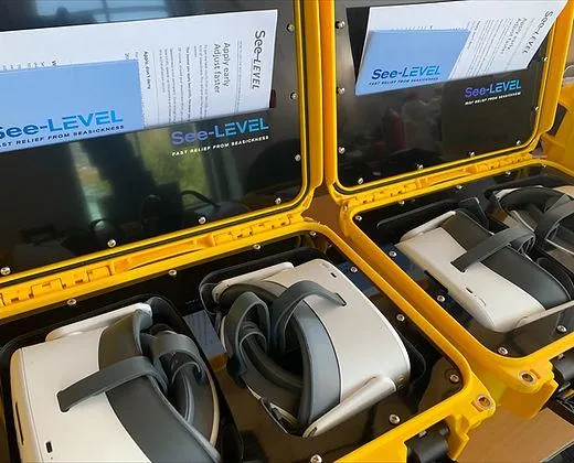 Marine Case for two headsets