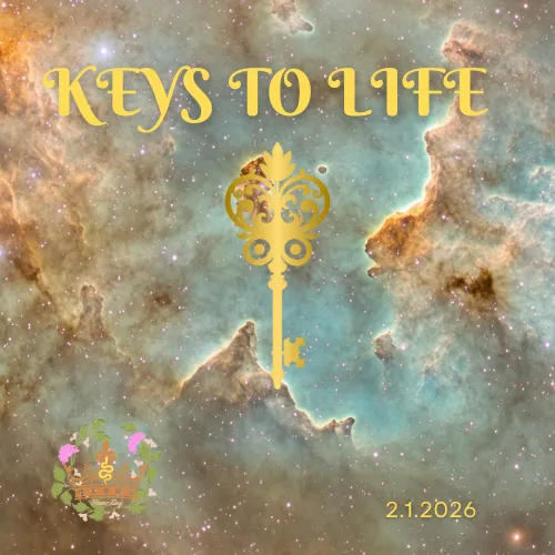 ecommerce.upsell.product_image_alt