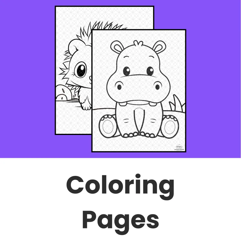 collection-image