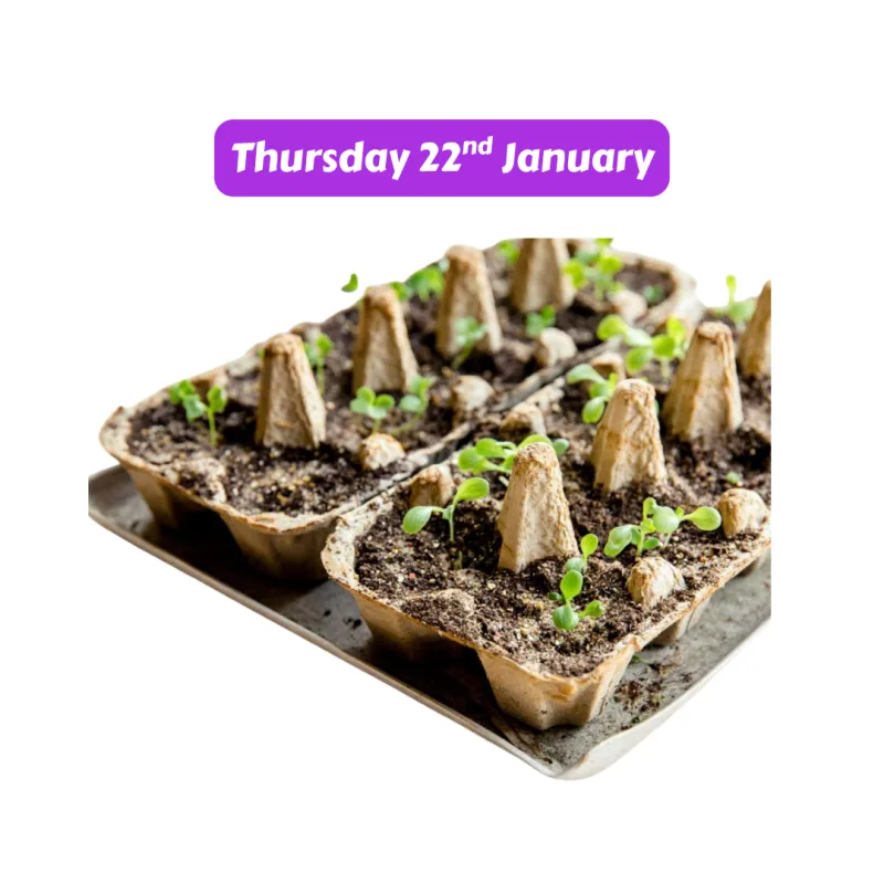 ecommerce.upsell.product_image_alt