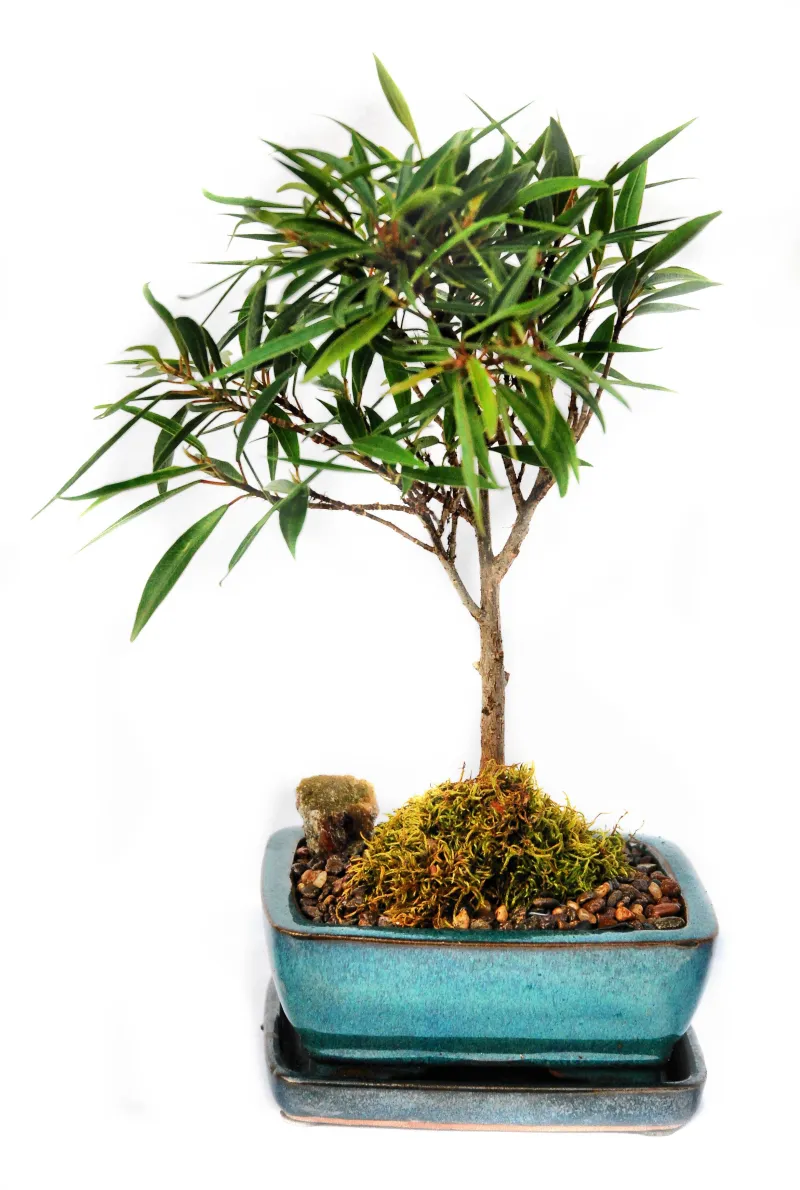 ecommerce.upsell.product_image_alt