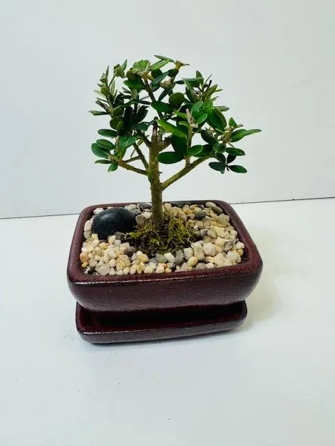 ecommerce.upsell.product_image_alt