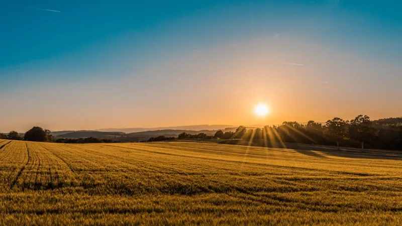 Terrenos em Aljustrel