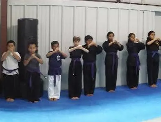 Kaizen Way scholarship support for young martial arts students
