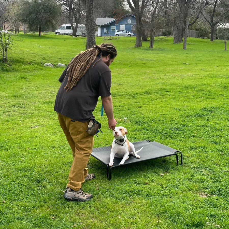 In-home private dog training lesson with Hill Country K9