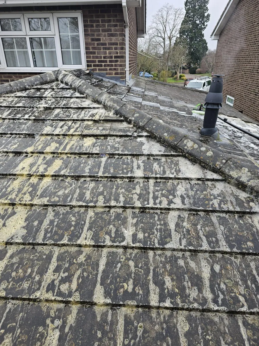 A tiled roof covered in lichen and moss before treatment