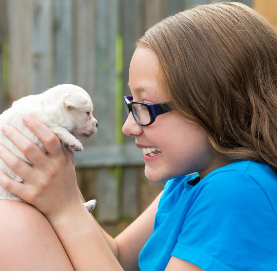 Puppy In home training