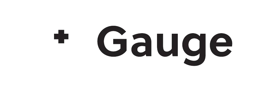 LifeGauge