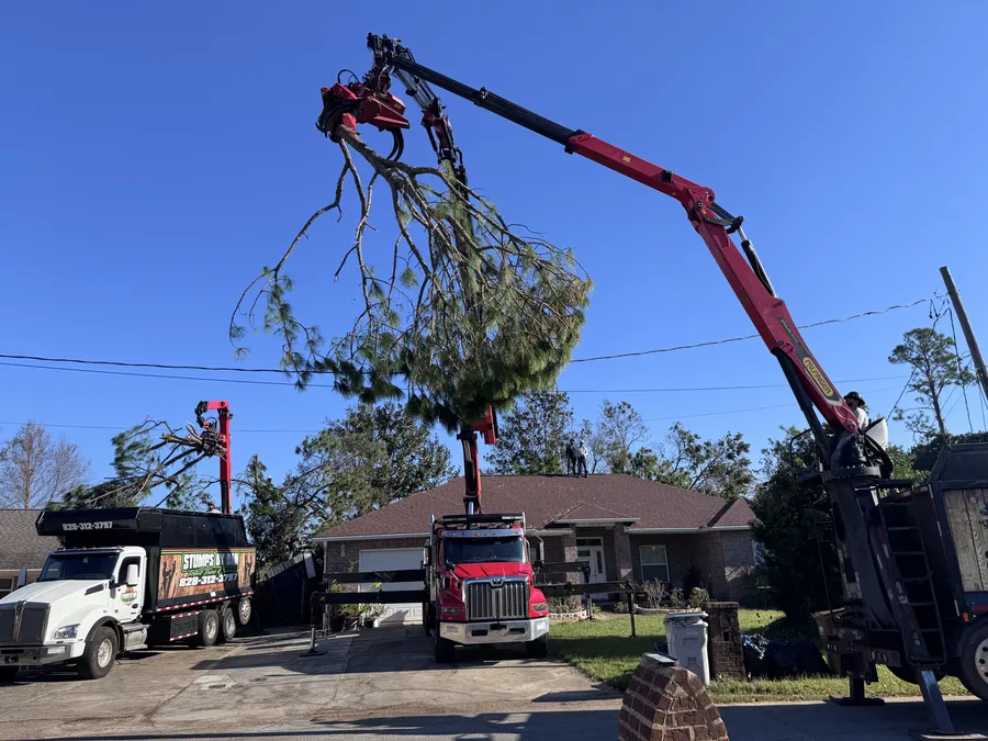 Tree section suspended mid-lift by crane during storm clean-up