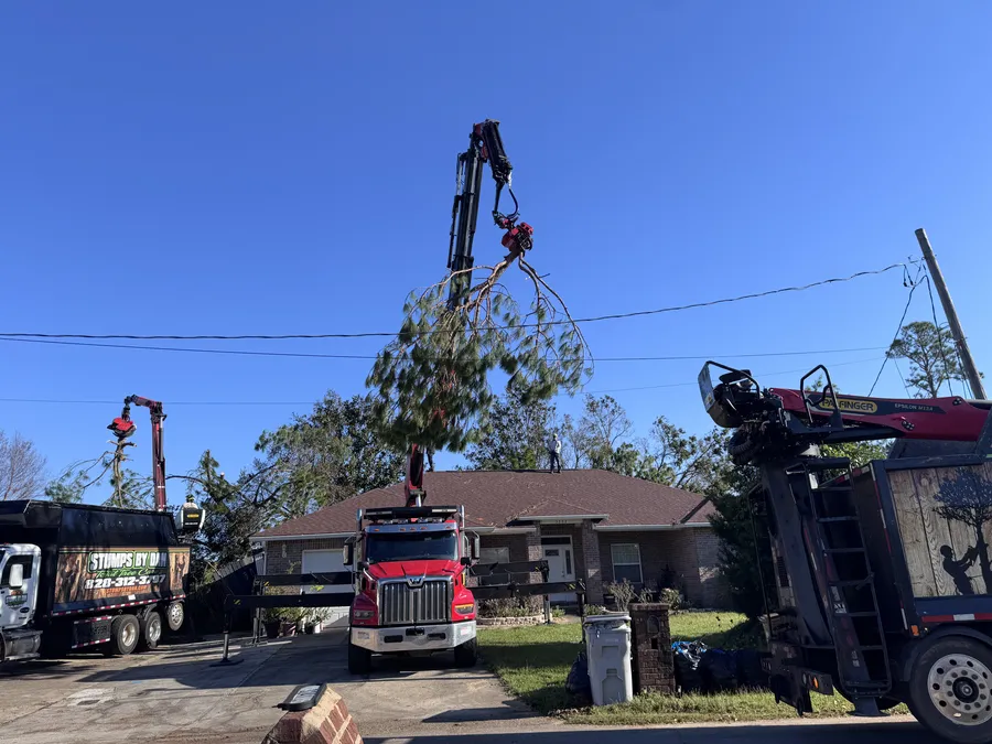 Crane boom extended over a residential property during storm clean-up