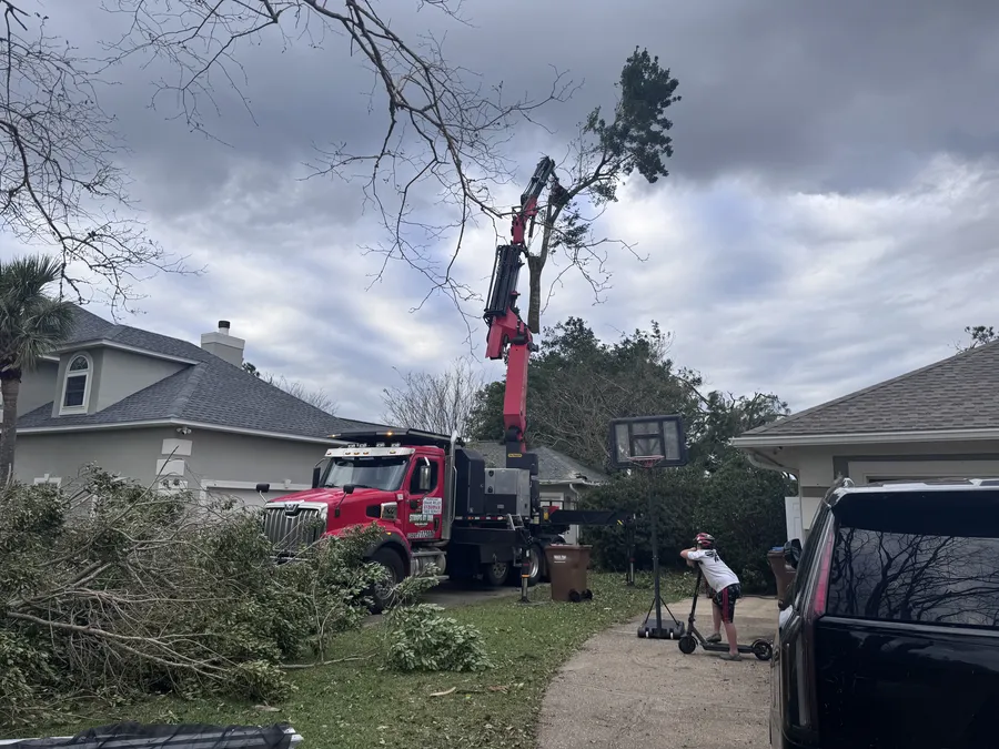 Crane lifting a large tree section clear of a damaged roof during Gulf Coast storm clean-up
