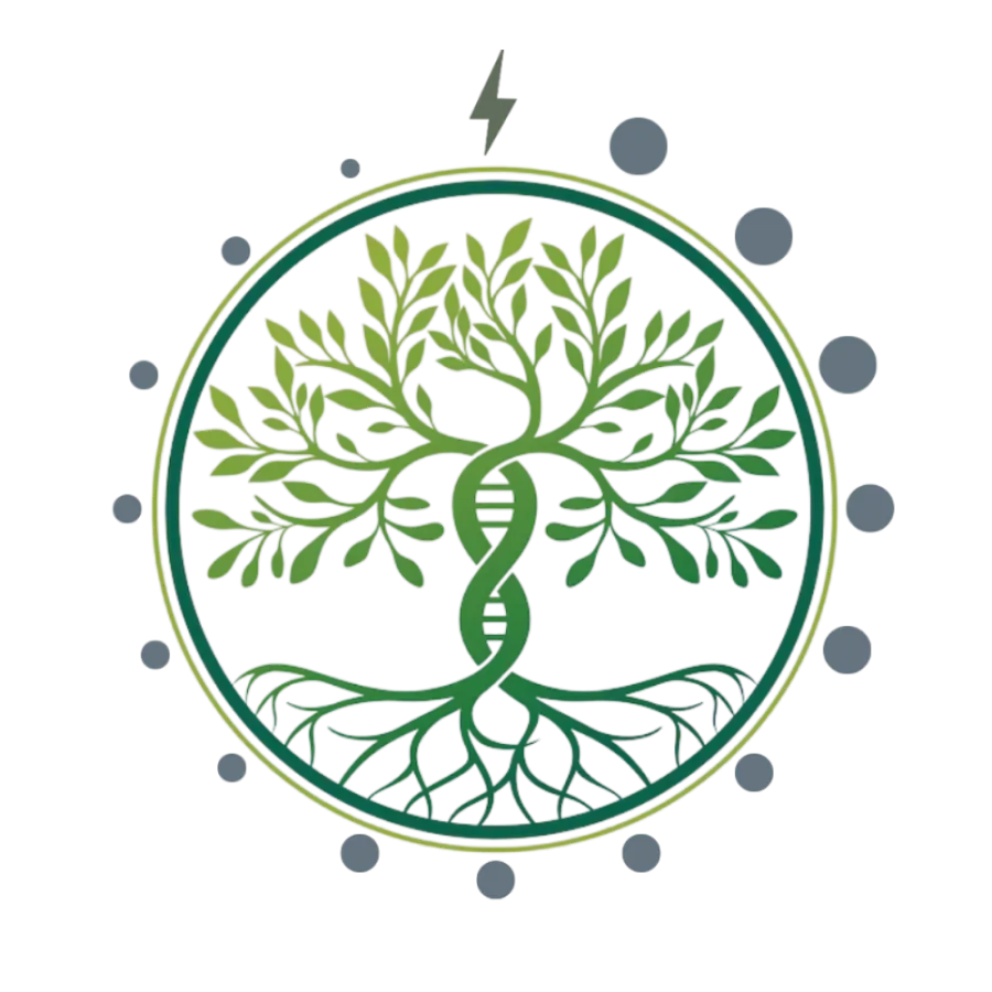 The Natural Healing Spa | 