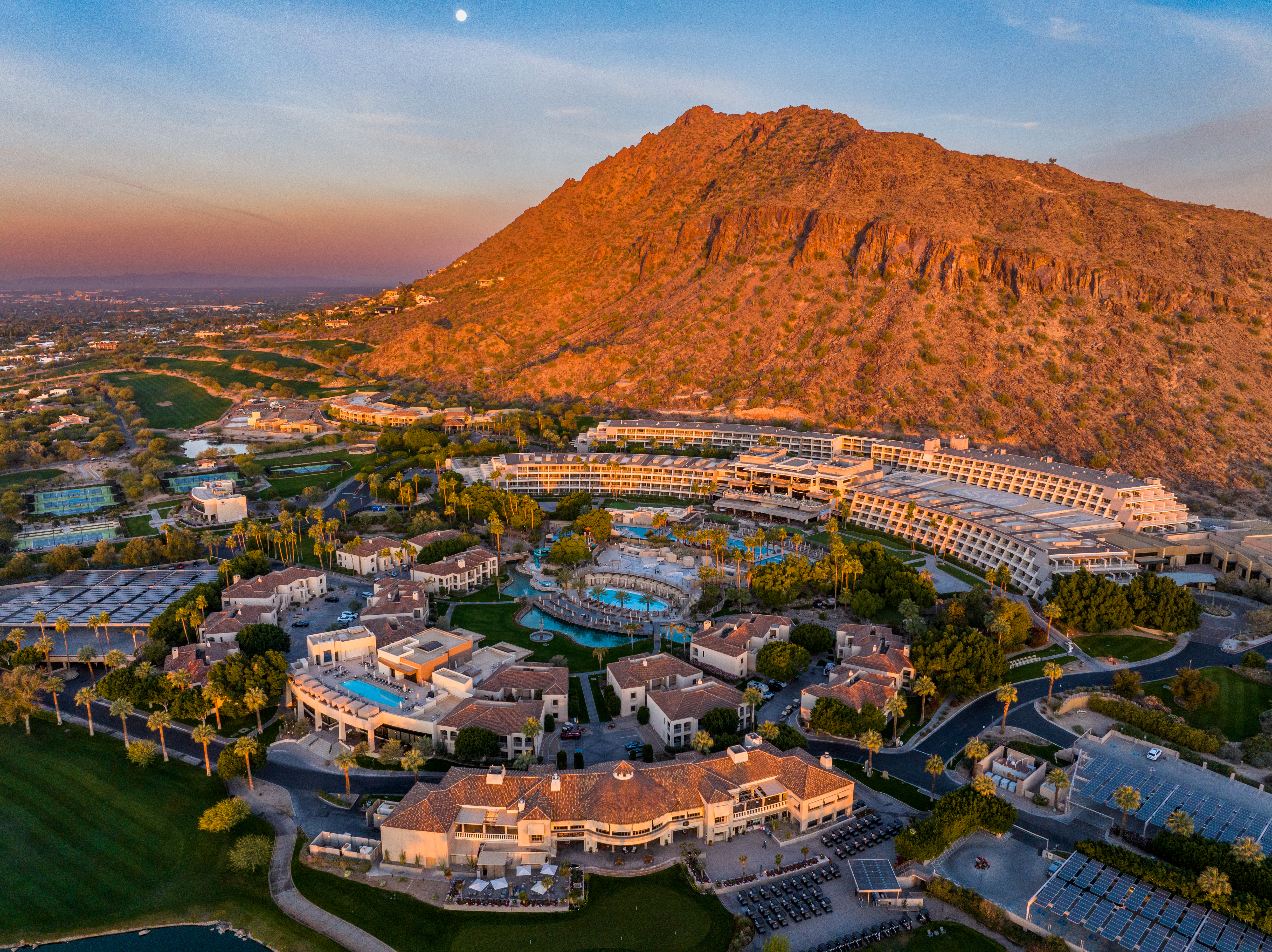 The Phoenician