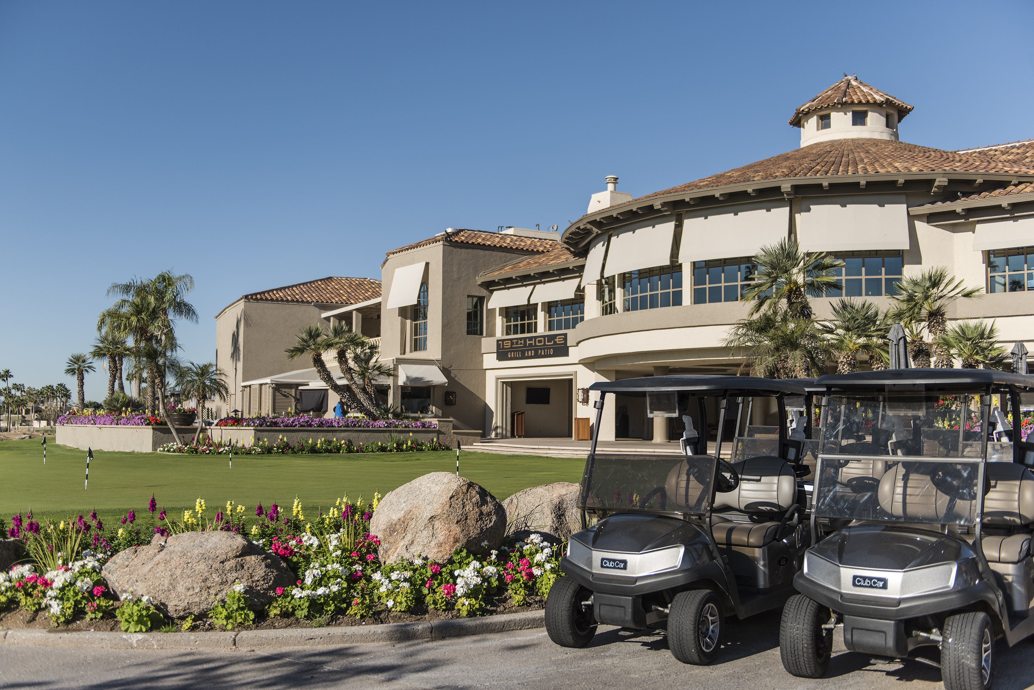 The Phoenician