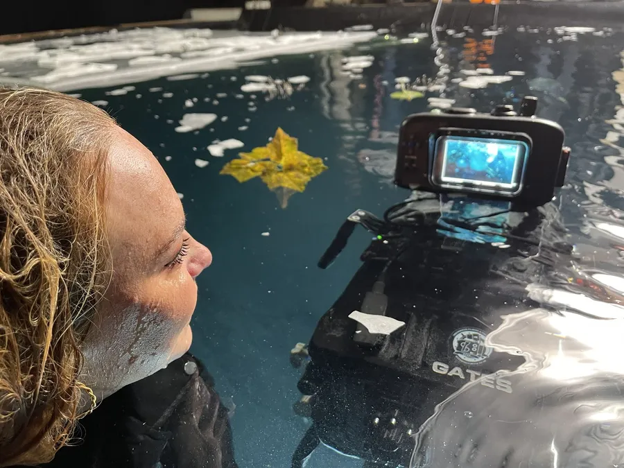Diver operating an underwater camera housing during filming
