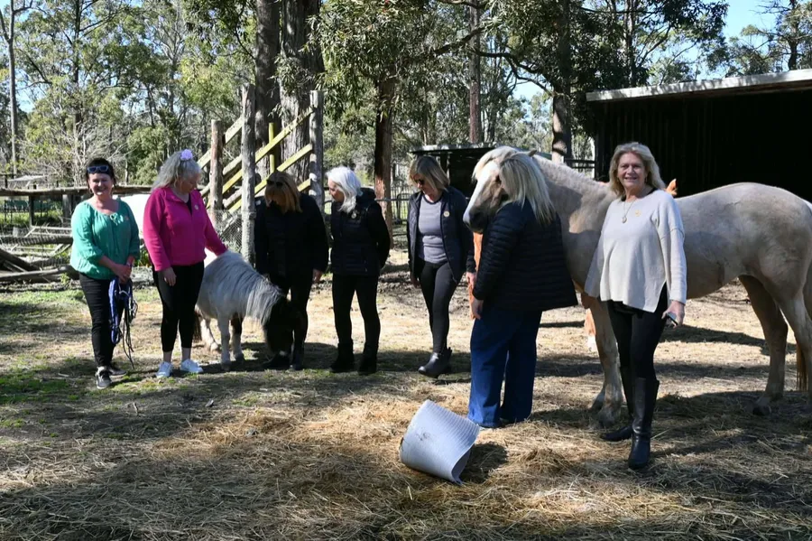 Riverdance, Nabiac