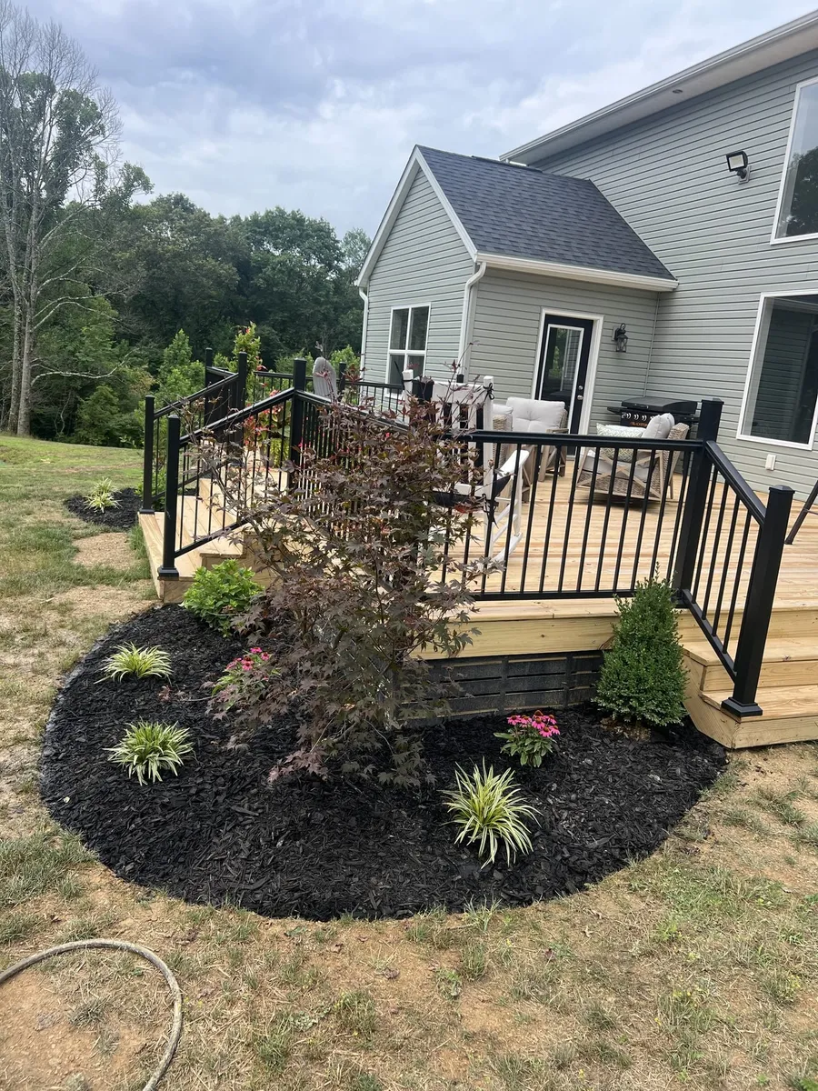 A finished mulch bed with shrubs set in it