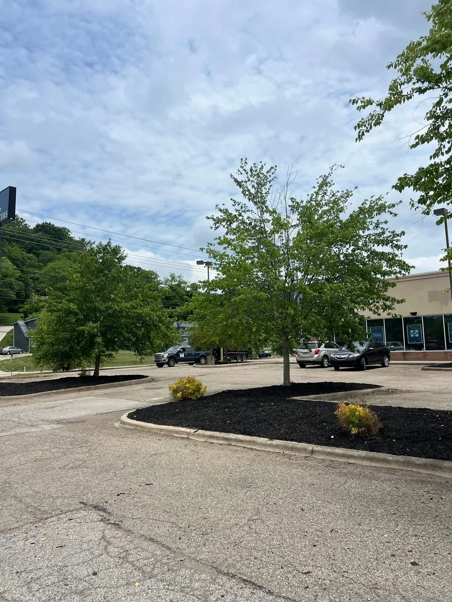 Freshly mulched parking lot islands at a commercial property