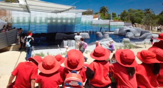 Melbourne Zoo acrylic project