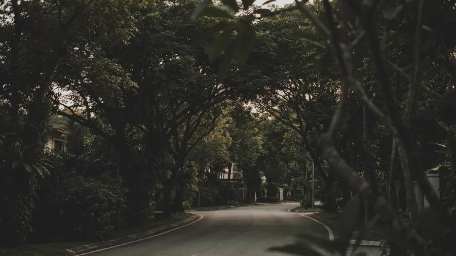 Taman Desa's quiet, tree-lined streets, Aetas Taman Desa, artist's impression
